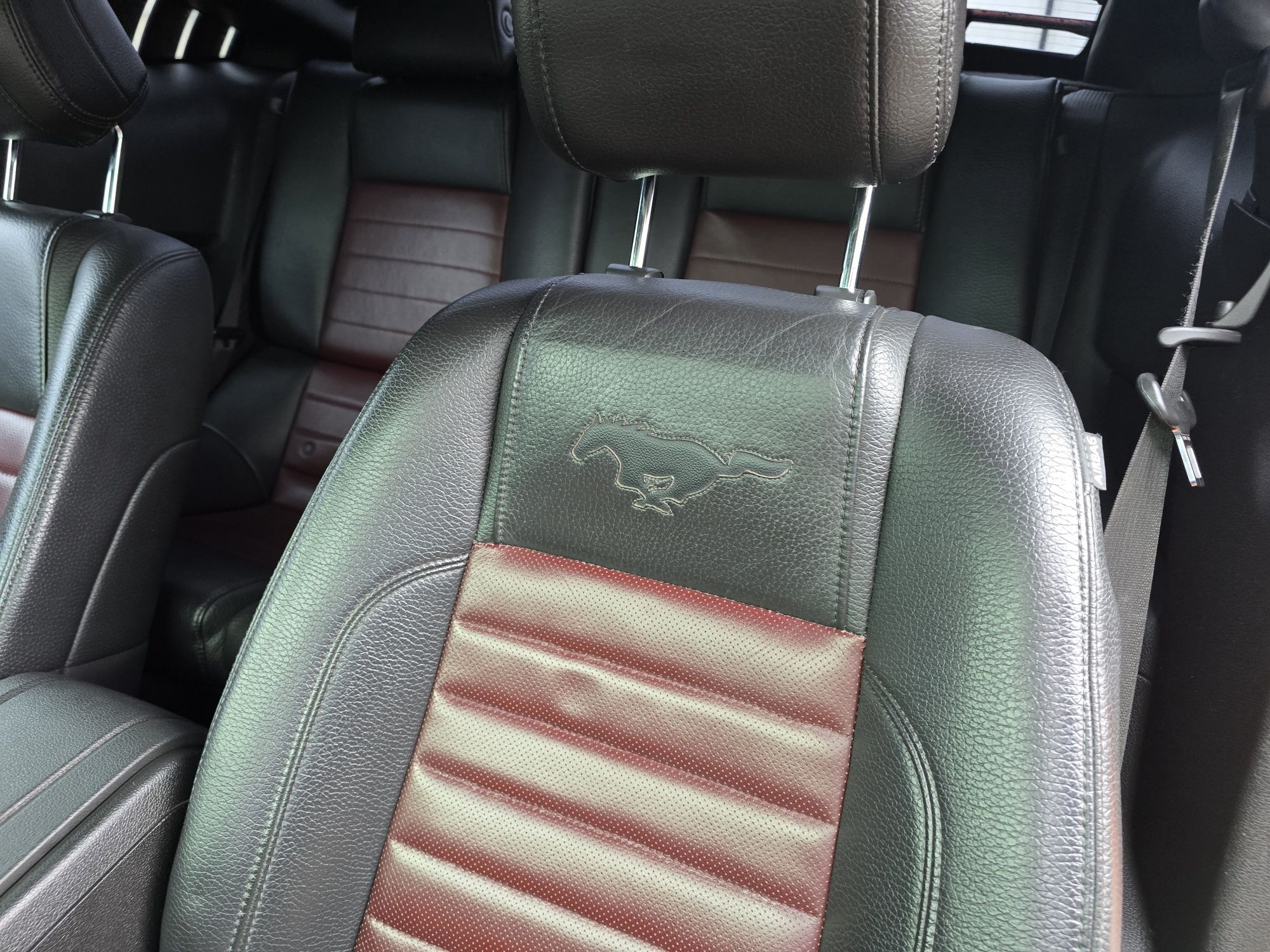 Do sprzedania Ford Mustang