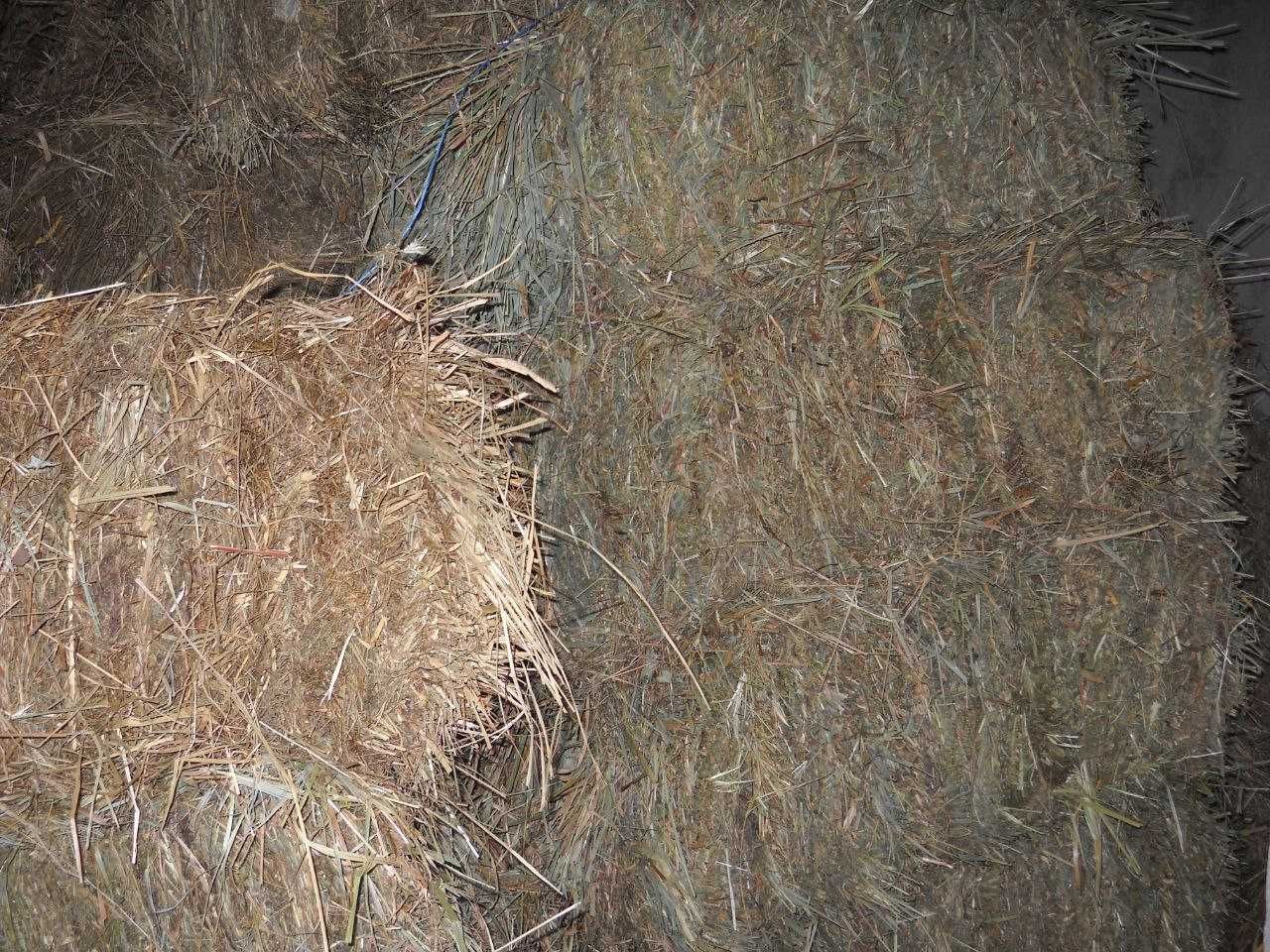 Сіно, солома в квадратних та круглих тюках