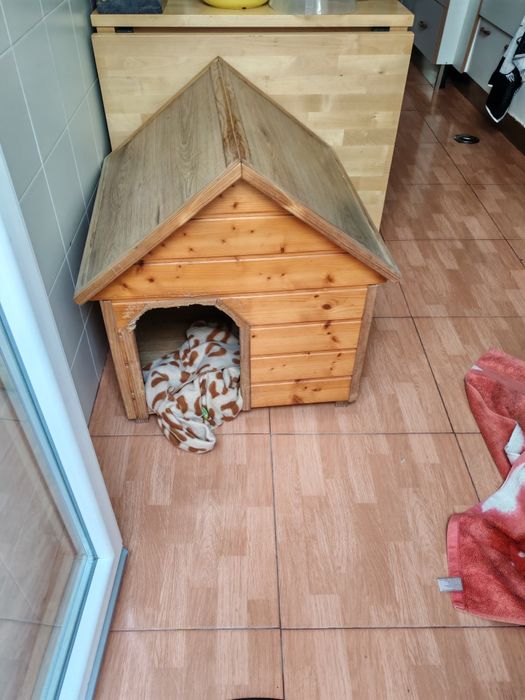 Vendo casa para cão em madeira