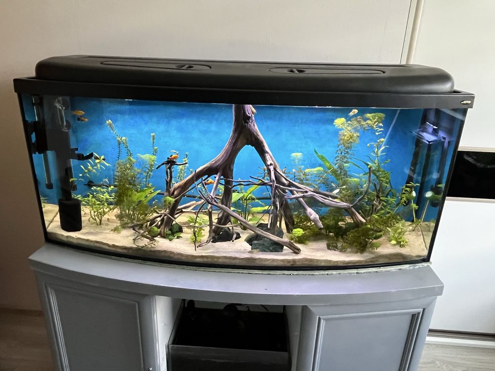 Akwarium 205 l z filtrem