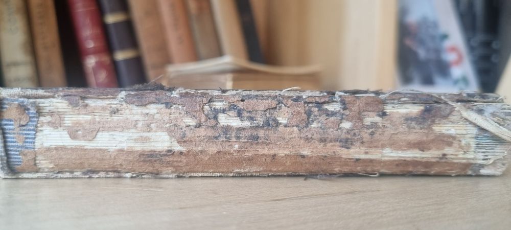 Novo testamento, exemplar em língua francesa