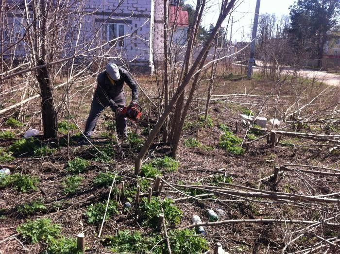 УБорка и зачистка дачного участка от мусора и растительности