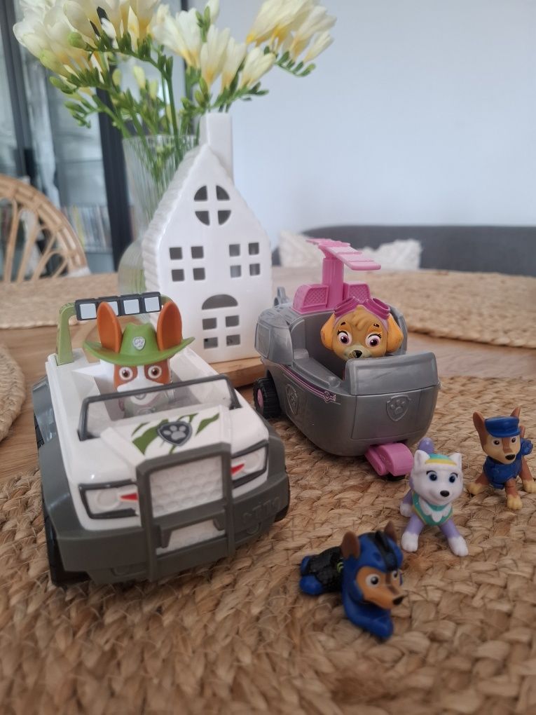 Psi patrol Skye Chase