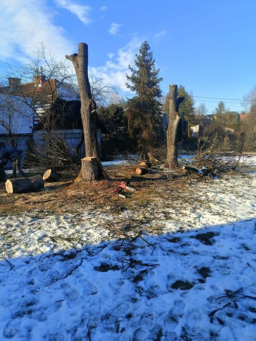 Wycinka drzew ,Koszenie trawy, zakładanie ogrodów, wywóz Wb garden