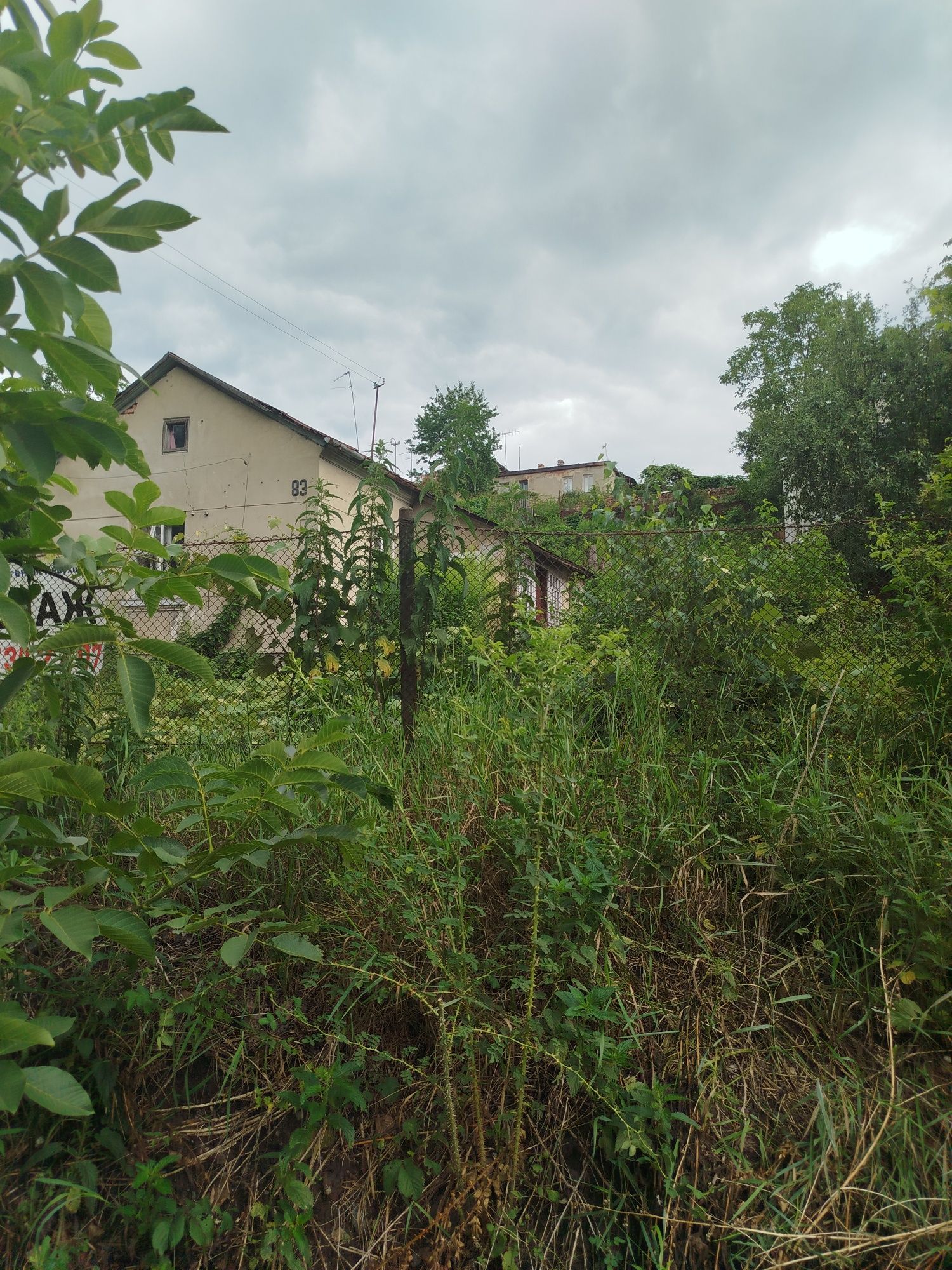 Продаж ділянки Голубця Личаківський р-н