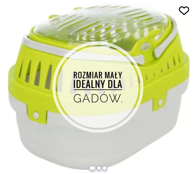 Gotowe terrarium jednoroczne