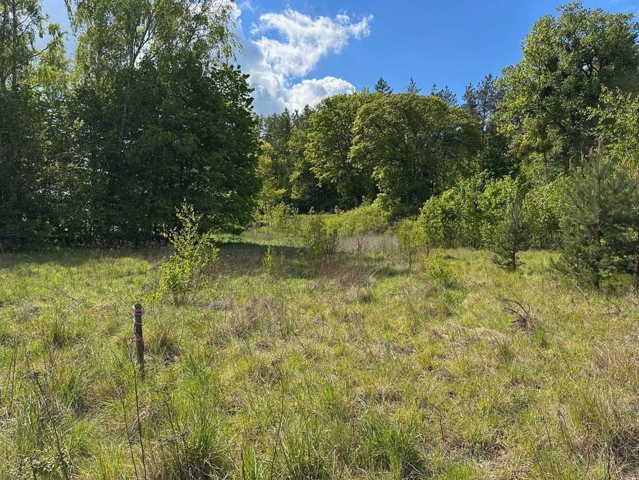 Działka budowlana 800 m² | MPZP | spokojna okolica | 25 min od Gdańska