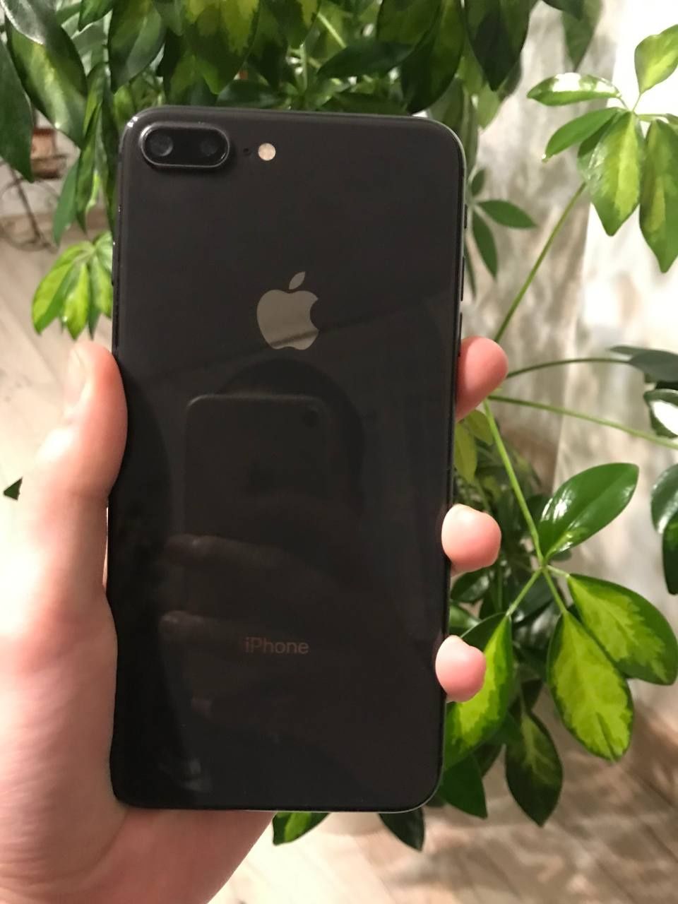 Айфон 8+, Ідеал, без передоплати