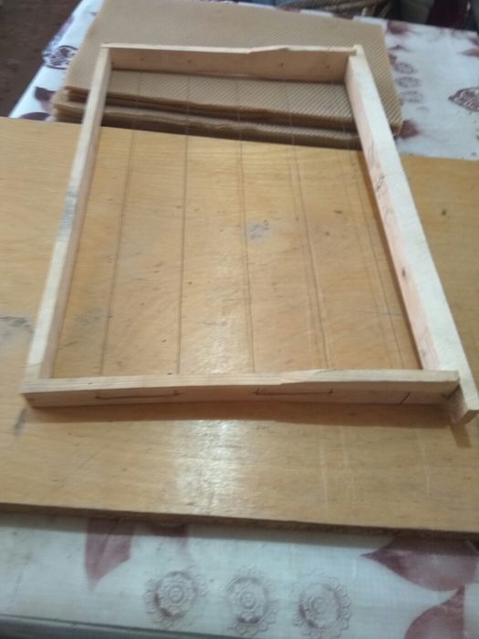 Рамка пчелиная. пчелы