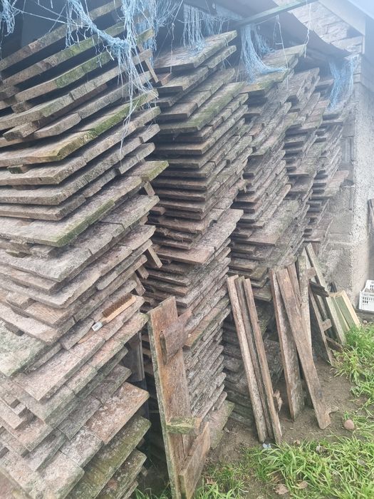 Paśniki do chodowli ślimaków