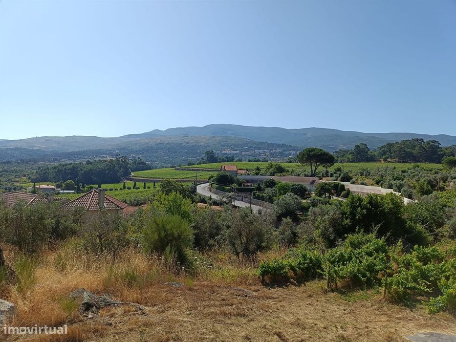 Terreno Rústico  Venda em Nespereira,Gouveia