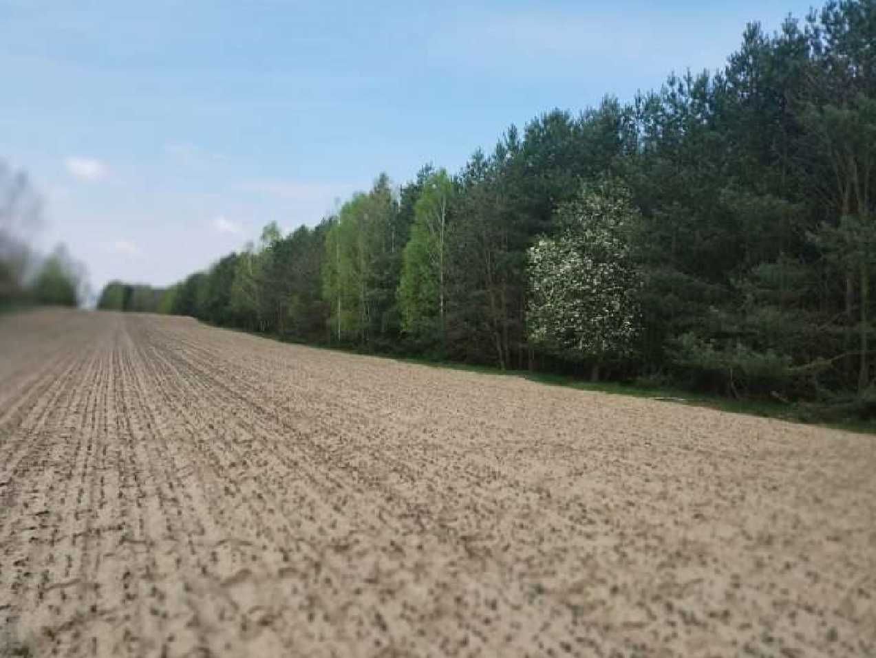 Działka w pobliżu term Uniejów w Borkach Lipkowskich, pow. Poddębicki