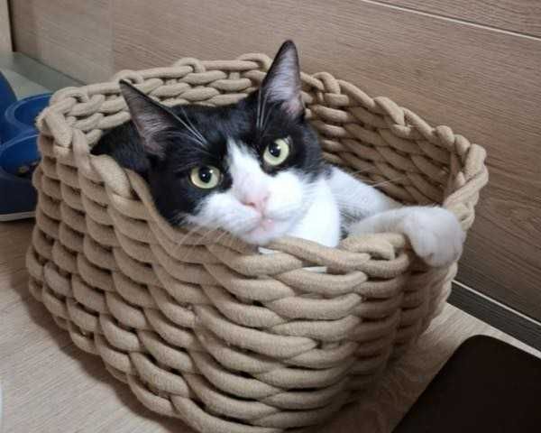 MILA wypatruje nowego domku