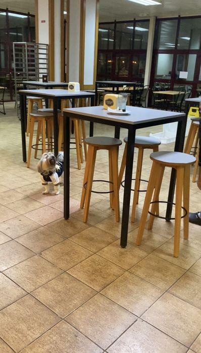 Conjunto 9 Mesas Altas + 36 Bancos Altos — Ideal para Café/Bar/Restaur