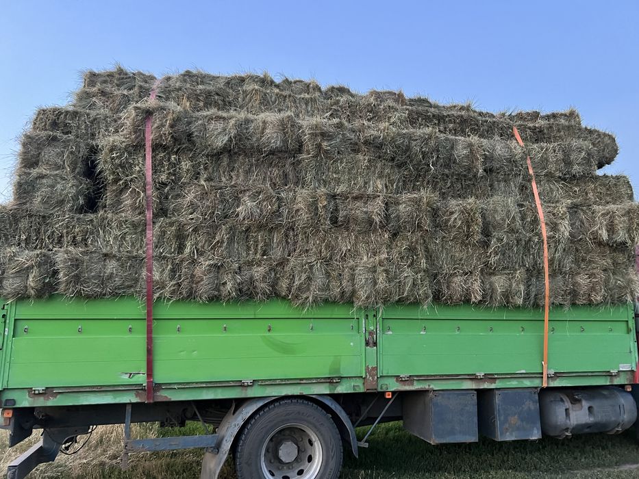 Продам сіно, сено в тюках, люцерна, Оттава!