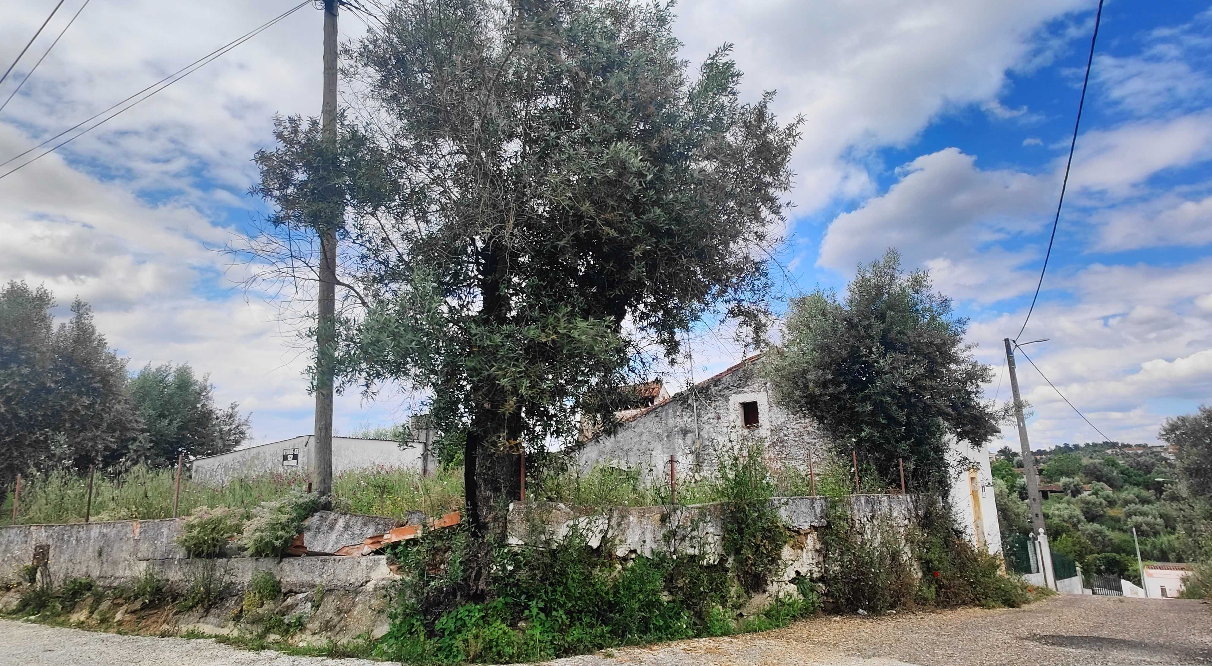 Terreno e Casa para Reconstruir em Mouriscas - Abrantes