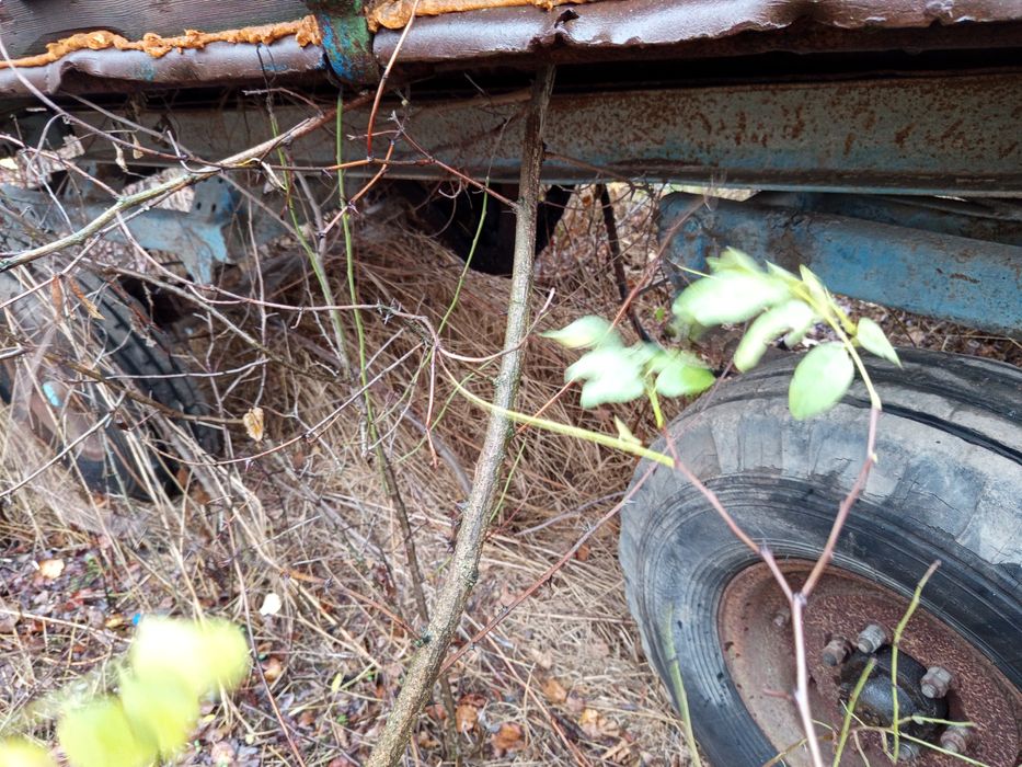 Прицеп тракторний  птс2