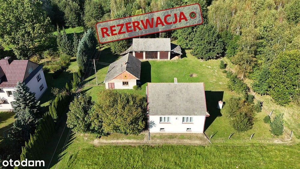 Siedlisko 83 ar w Lipiny, powiat dębicki