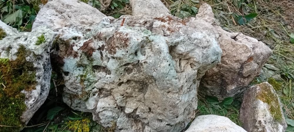 Zestaw kamieni wapiennych  tzw ostańcow