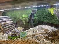 Terrarium dla żółwia - z wyposażeniem, do zawieszenia lub postawienia