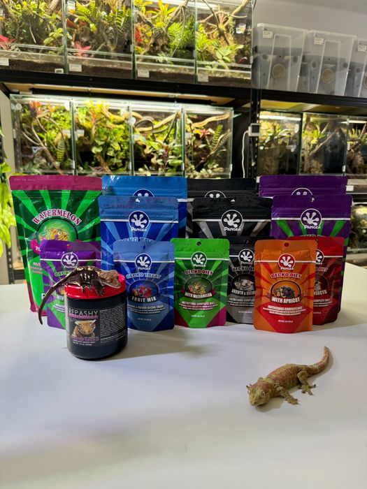 Pangea Gecko ! Różne smaki.