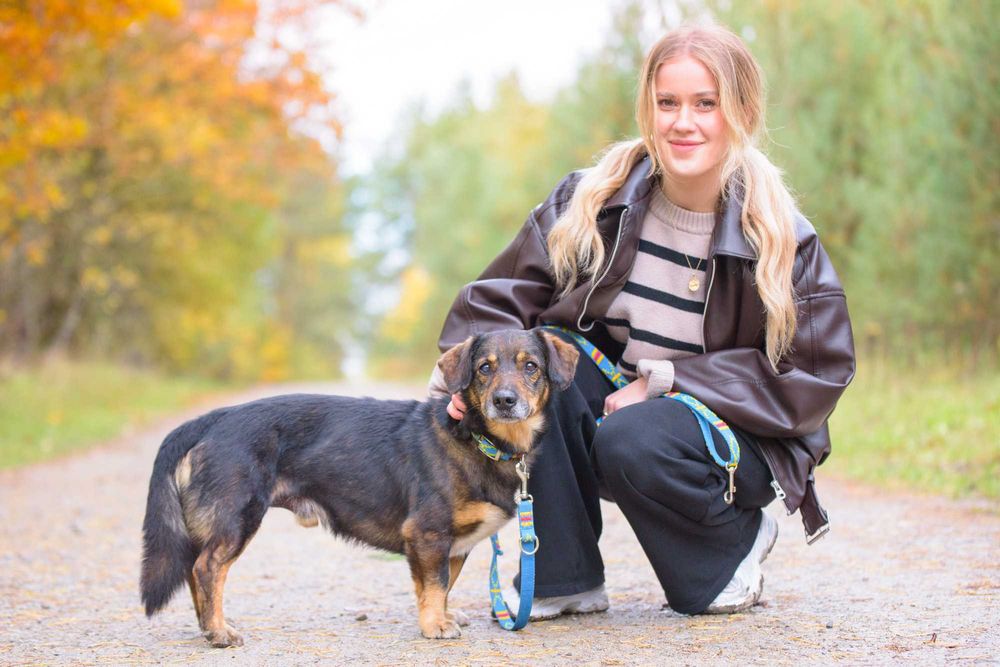 STEFEN - łagodny spokojny pies na tropie dobrego domu