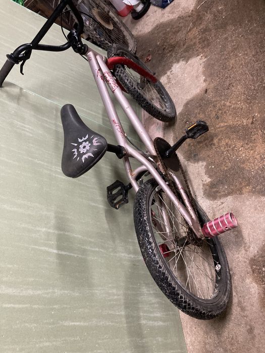 Bicicleta como nova roda de crinça