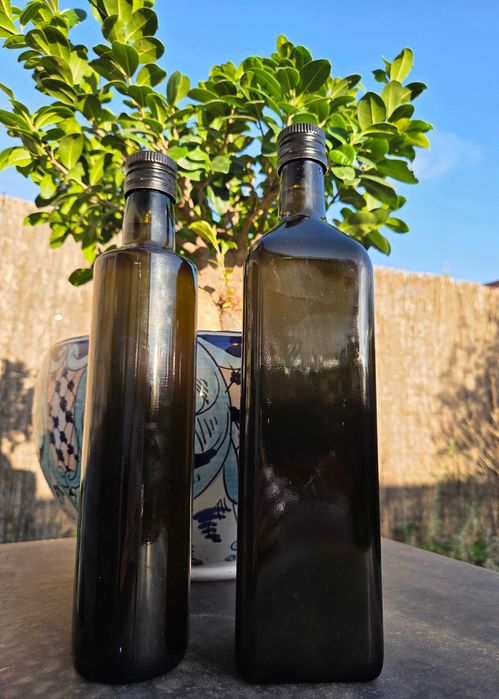 Świeżo tłoczona oliwa z oliwek prosto z Sycylii dostępna od ręki