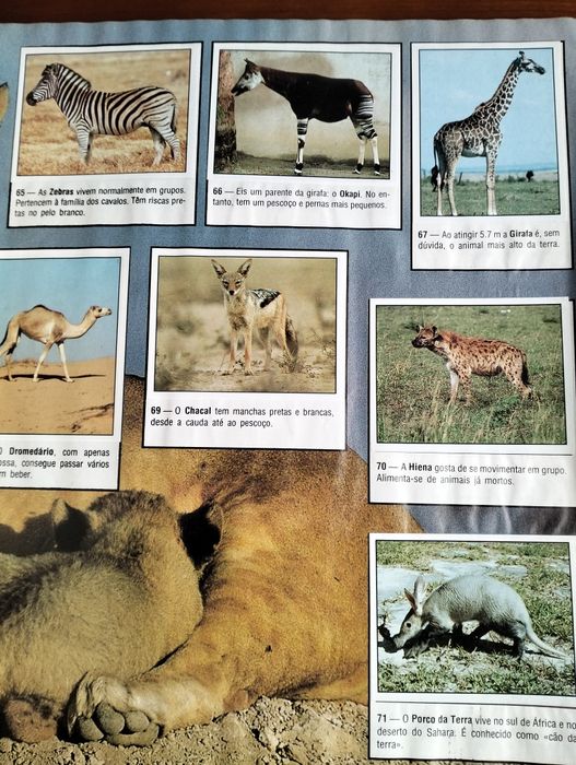 Cadernetas Animals of the World - Panini