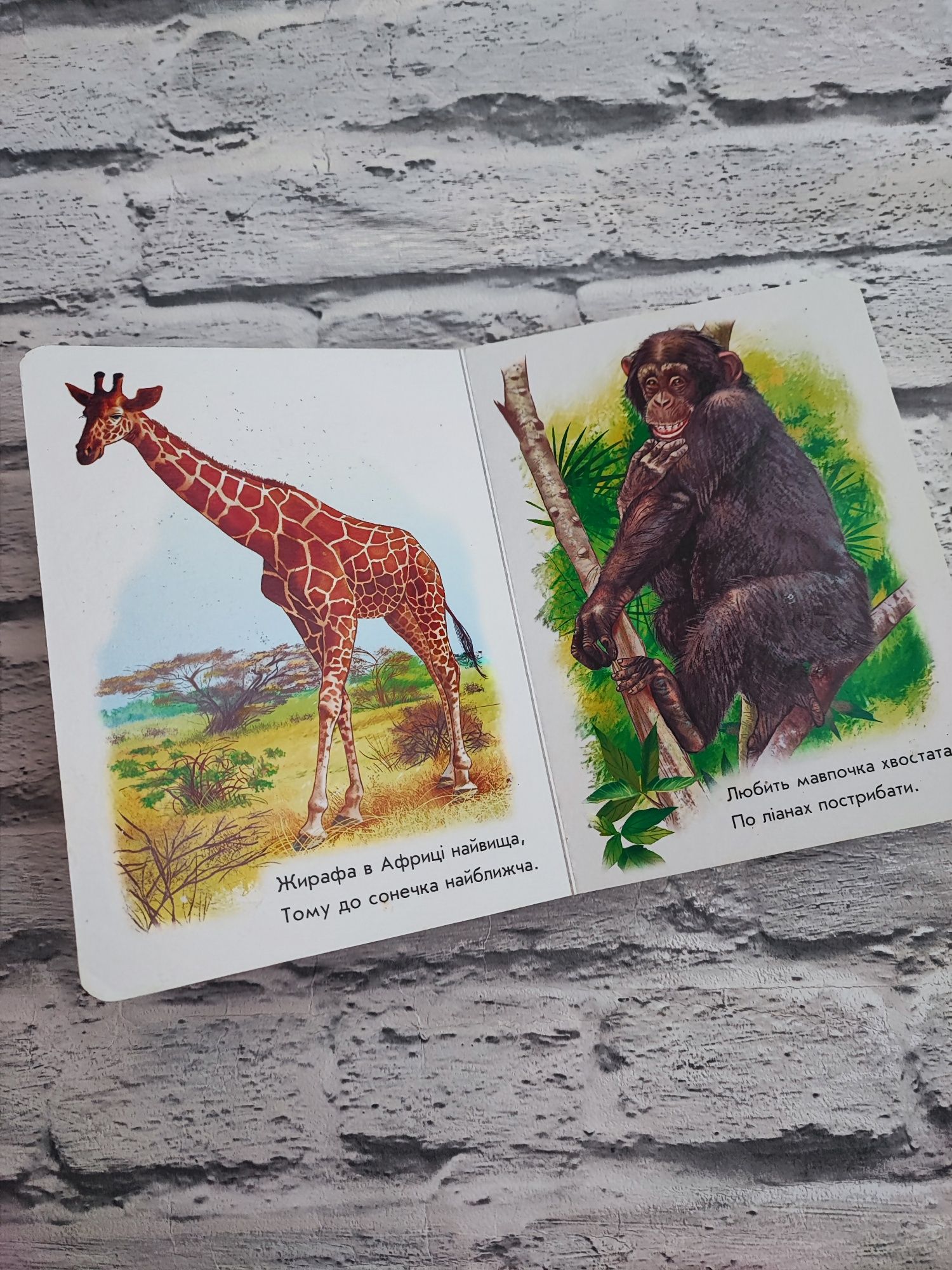 Книга Малятам про звіряток Улюблений зоопарк