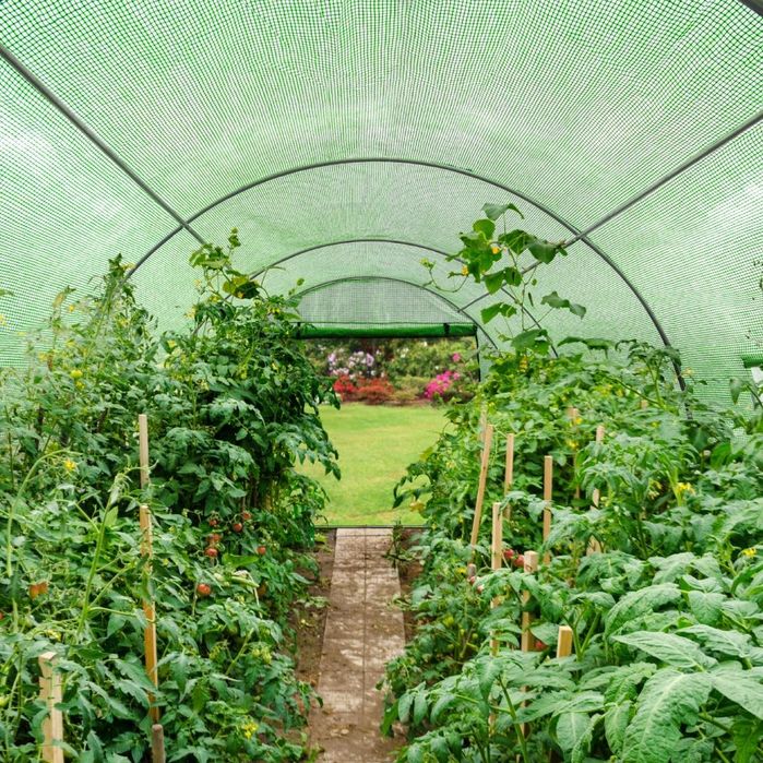 Tunel foliowy 10m2 ogrodowy UV-4 GRATIS!!!