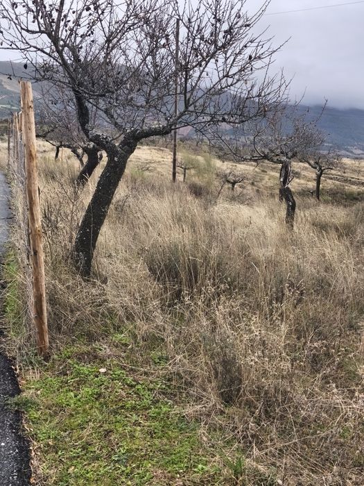Terreno rústico em sequeiros