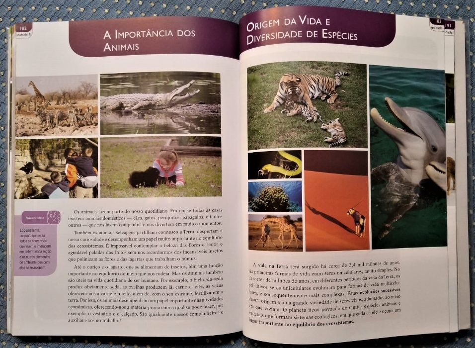 "Nós e o Mundo: Educação Moral e Religiosa Católica 6ºAno" Manual+Cade