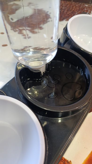 Миска + автоматическая поилка для котов