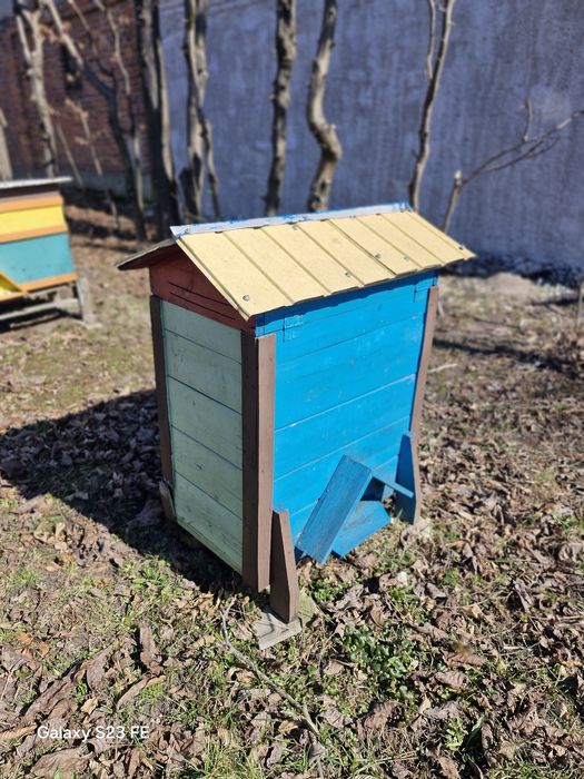 Ule warszawskie ,dadant