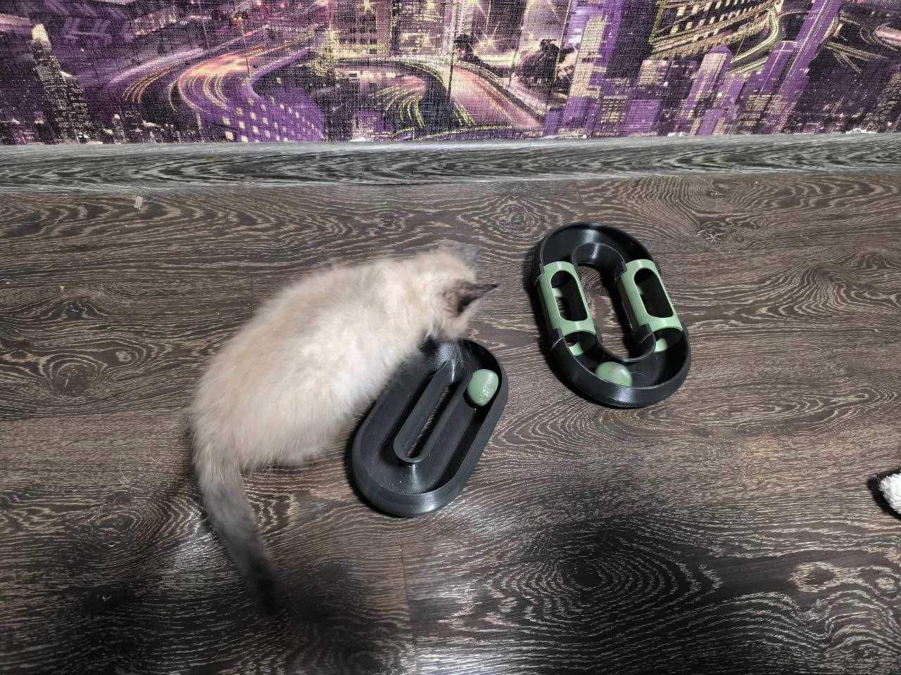 Інтерактивна іграшка для котів на надрукована 3D принтері
