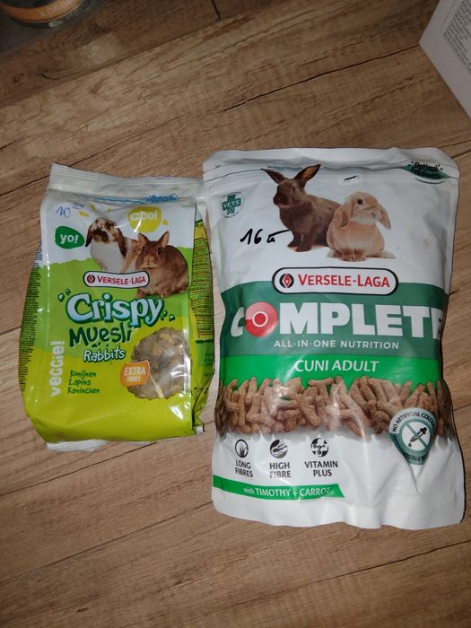 Versale dla gryzonia krolika