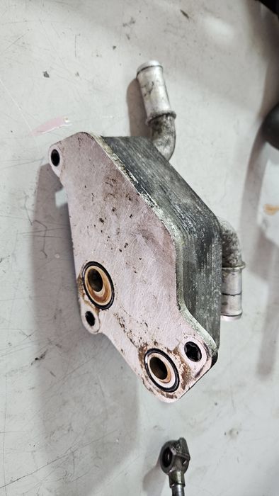 Chłodnica chłodniczka oleju A20NHT 2.0t turbo opel insignia a