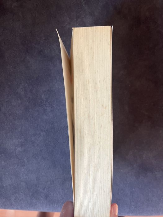 Livro - As etapas do Pensamento Sociológico