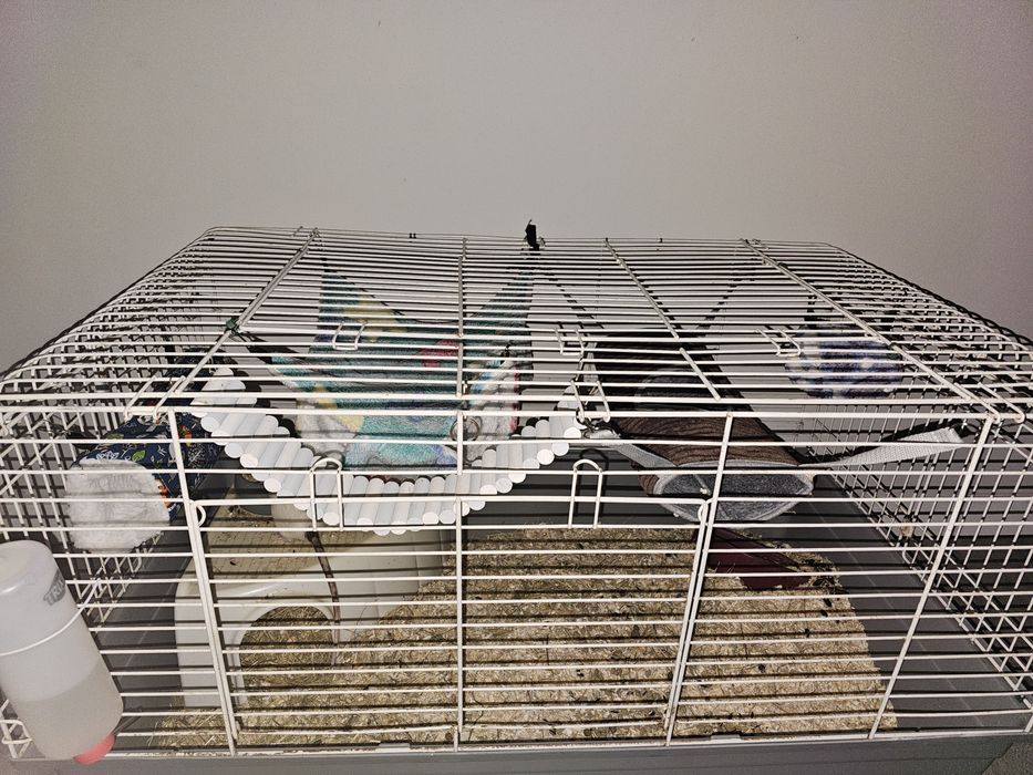 Gaiola para roedores