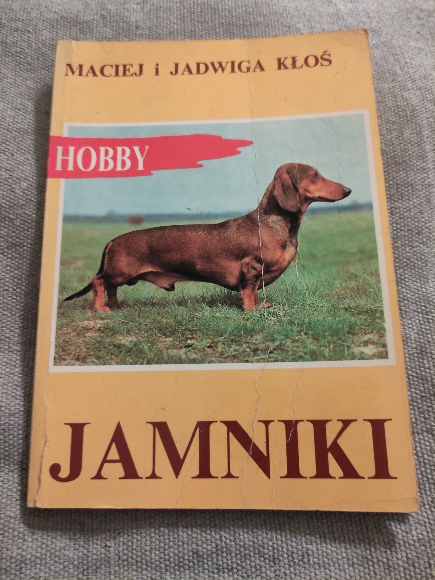 Jamniki Maciej i Jadwiga Kłoś