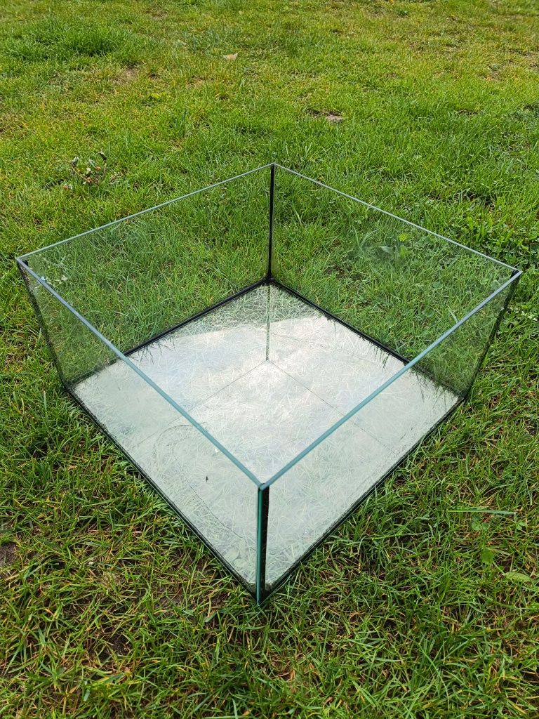 Akwarium terrarium