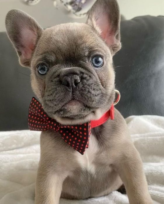 Дівчинка . неймовірна краса