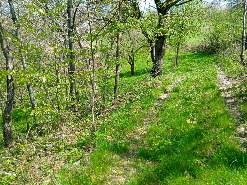 Domek wolnostojący, pokój do wynajęcia, nocleg, agroturystyka