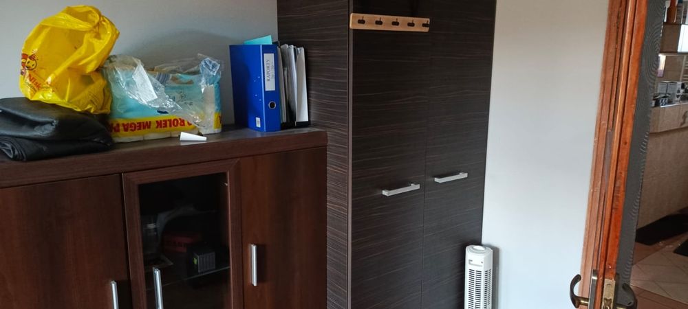 Mebloscianka do salonu