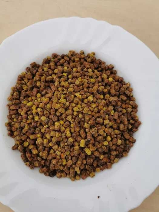 Pierzga pszczela 5kg z własnej pasieki w Stoczku Łukowskim