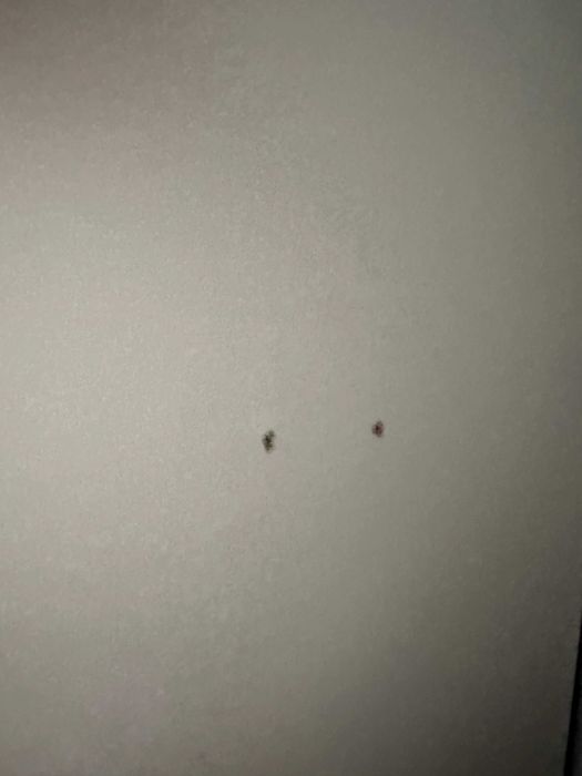 Книжний шкаф бу від хозяйки 2000 грн самовивіз НД