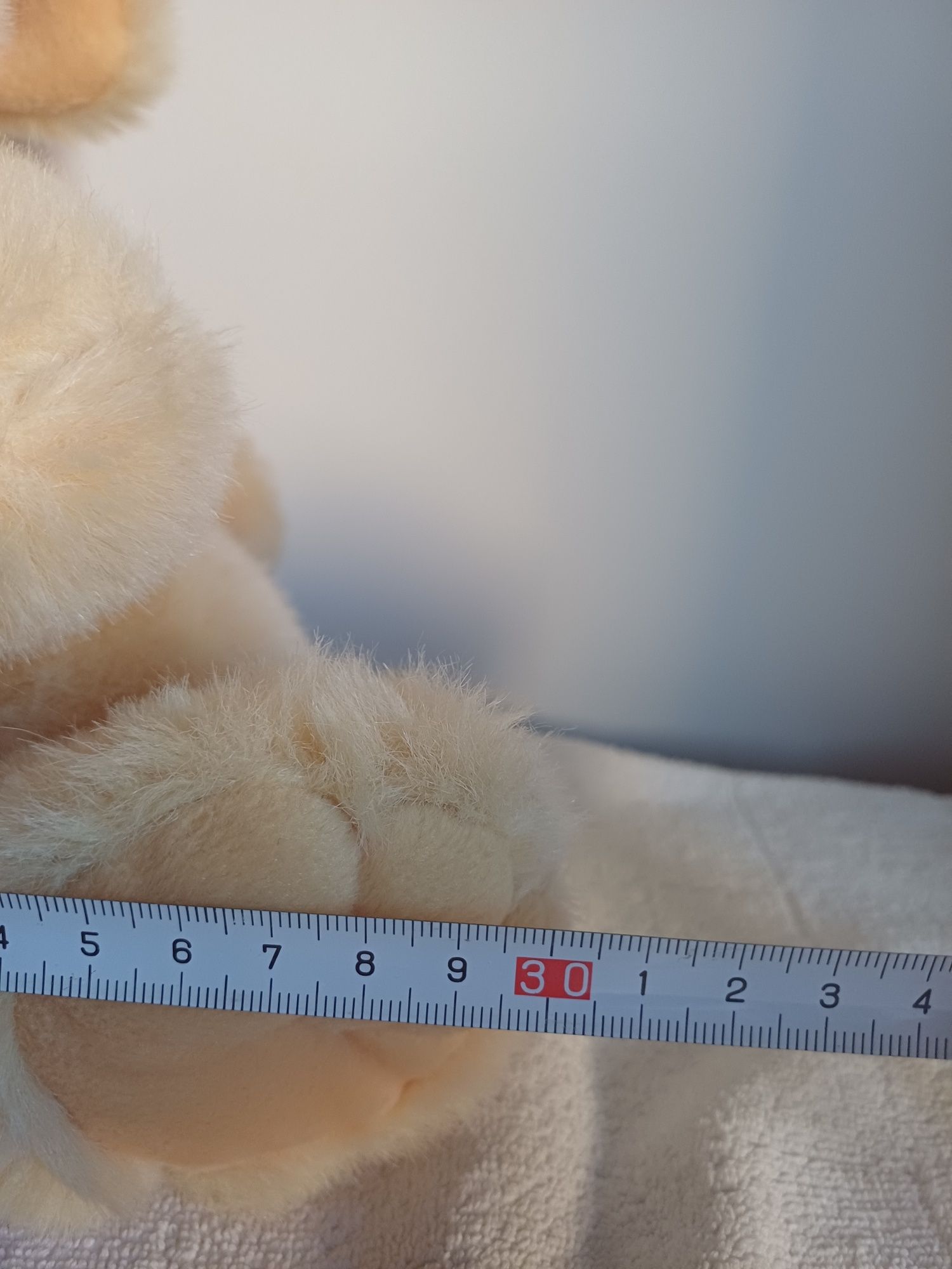 Coelho de peluche