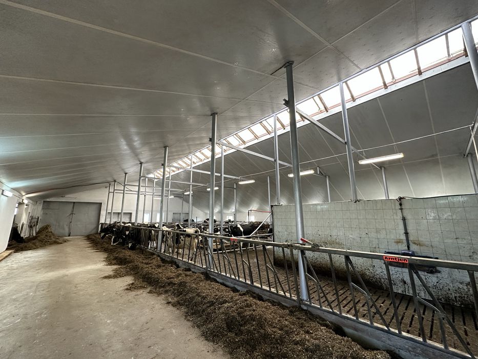 Mycie Fotowoltaiki kurnika chlewni obory bielenie nacinanie ruszt