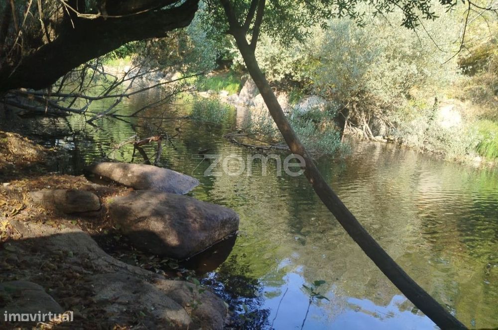 Quinta Única Encostada ao Rio Mondego – Um Refúgio Natural de Sonho...